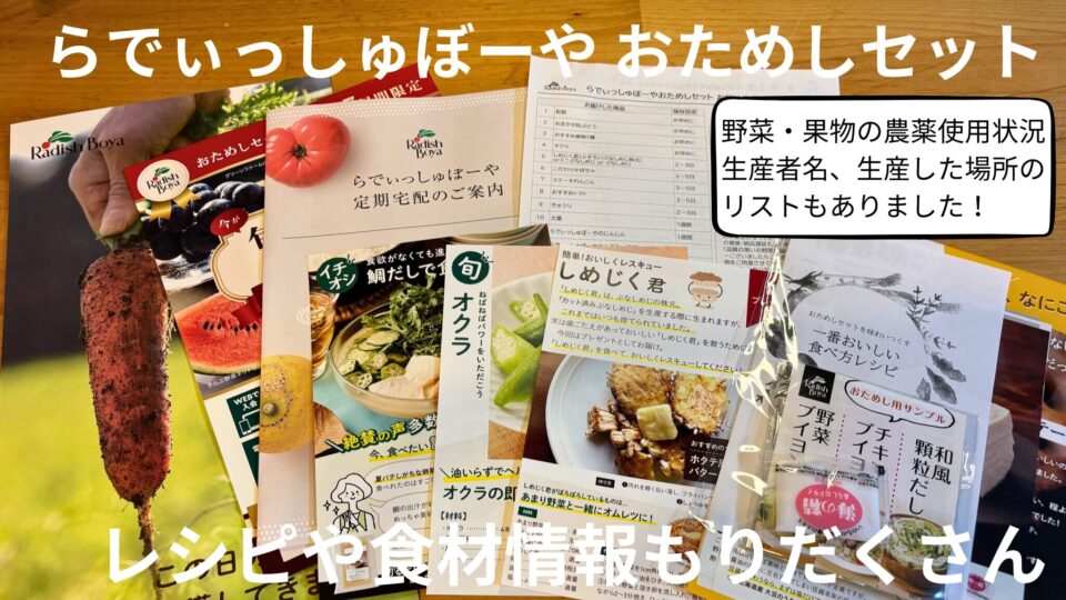 らでぃっしゅぼーやお試しセットのレシピや商品情報