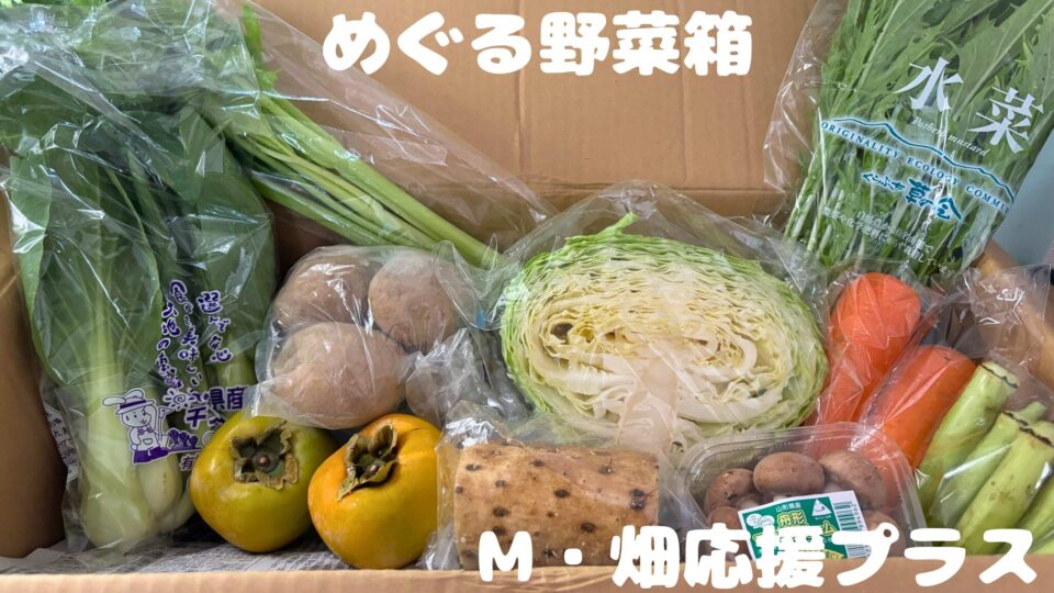 めぐる野菜箱M畑応援