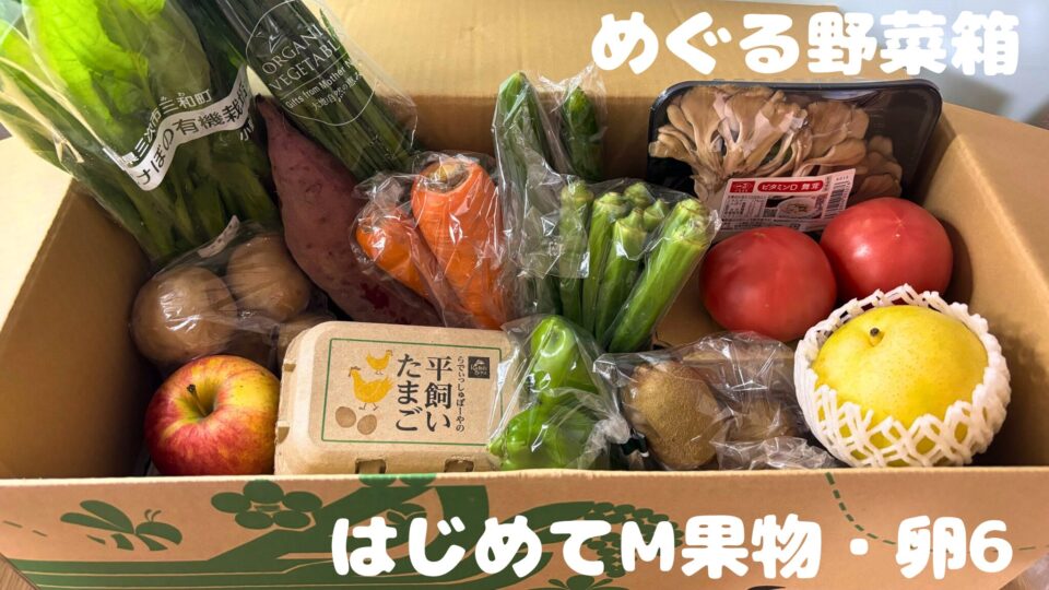 めぐる野菜箱はじめてM果物・たまご６