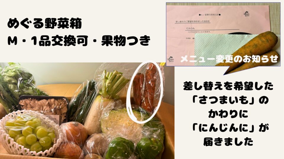 めくぐ野菜箱１品交換可