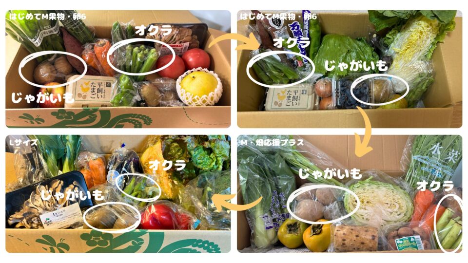 めぐる野菜箱を４週連続で注文