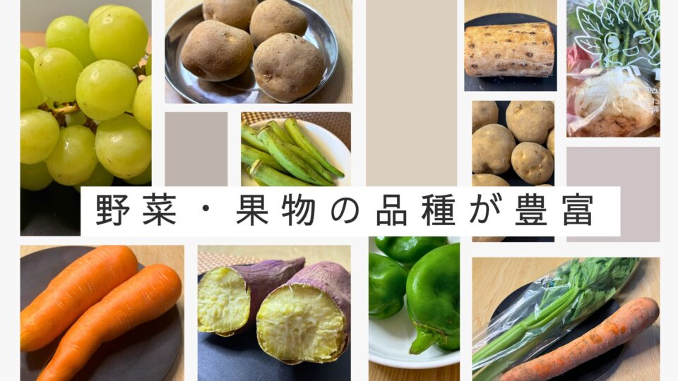 野菜・果物の品種が豊富