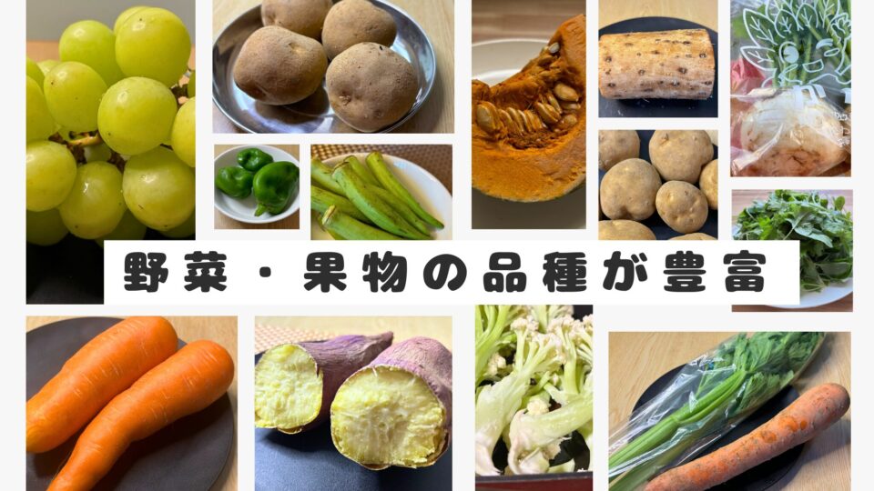 野菜の種類が豊富